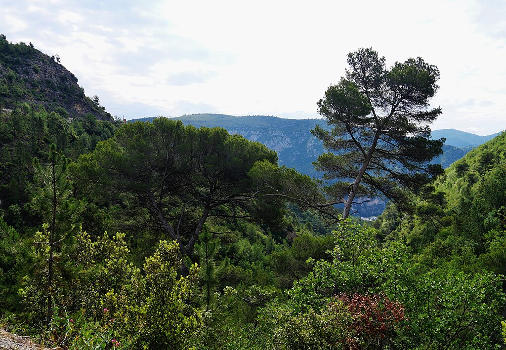Isolation Alpes-Maritimes