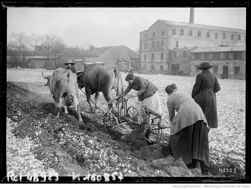 Isolation Val-de-Marne