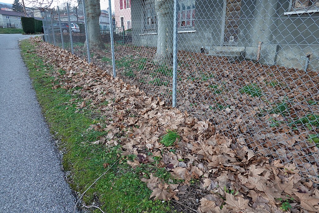 Isolation Bellegarde-sur-Valserine