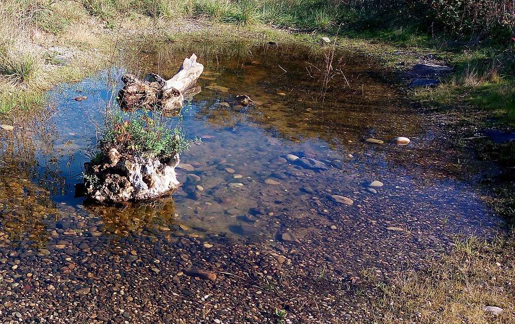 Isolation Wittenheim